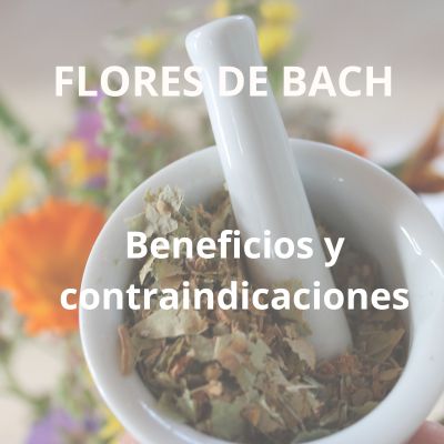 Flores de bach beneficios y contraindicaciones