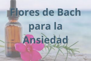 Flores de bach para la ansiedad