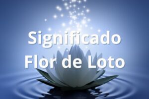 Flor de loto